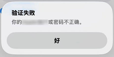 密码复制功能示例图