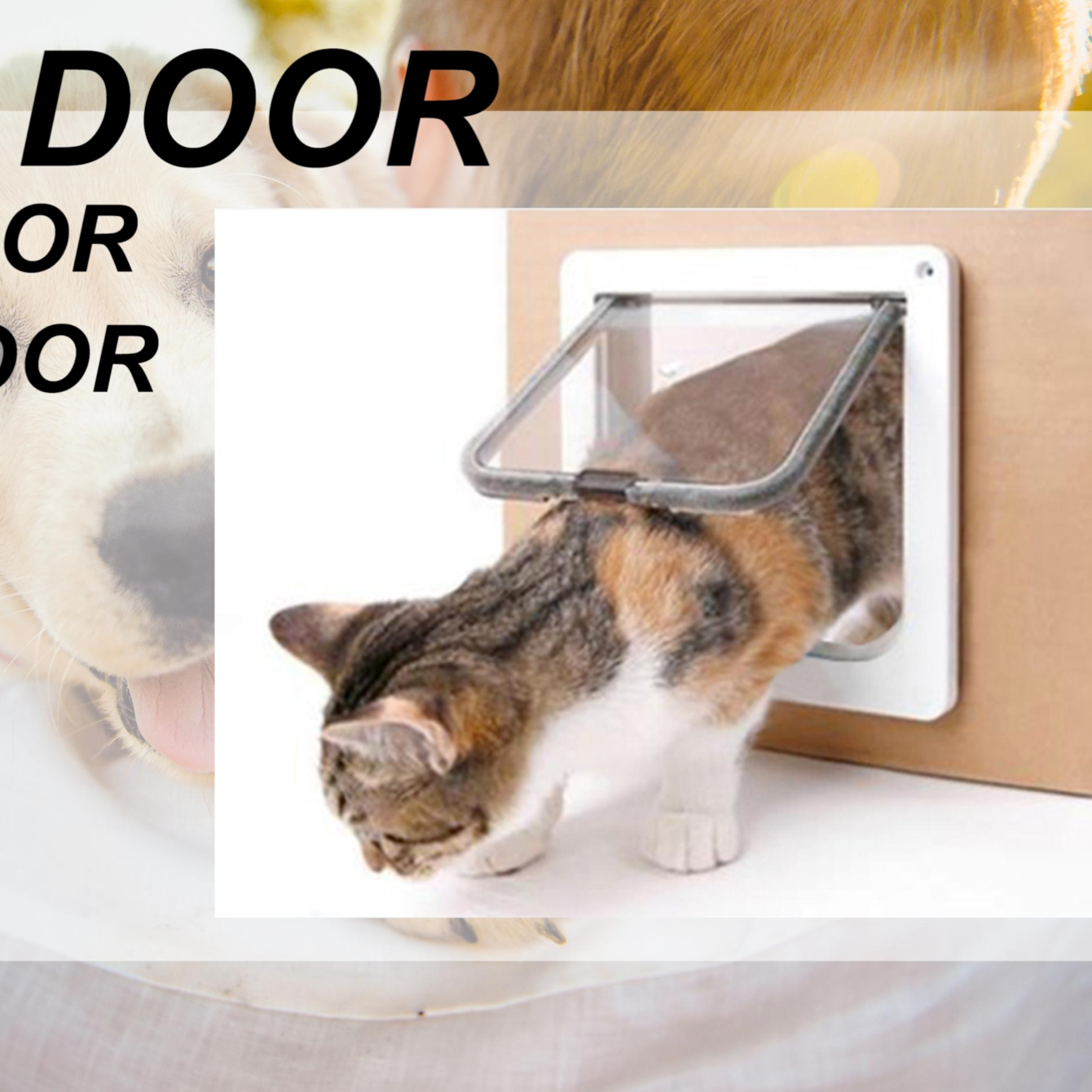portable cat door