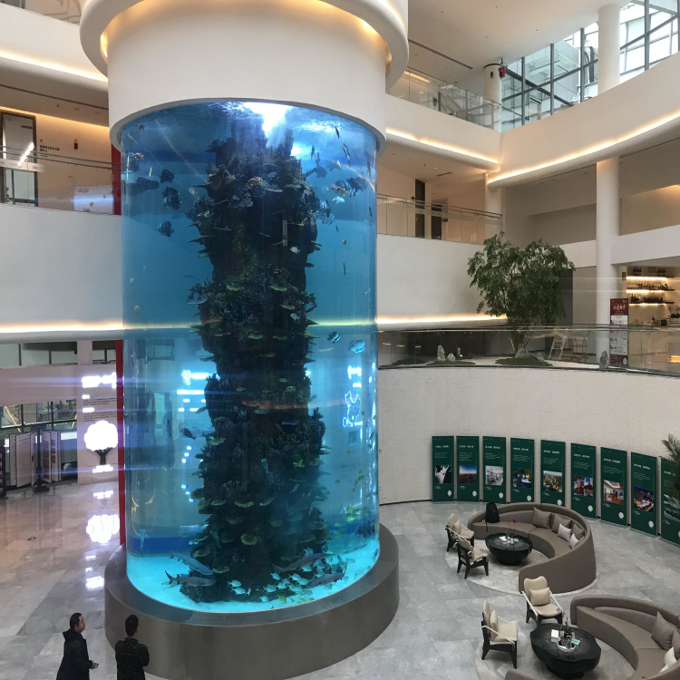 Custom, LED and Acrylic oval aquarium tank Aquariums