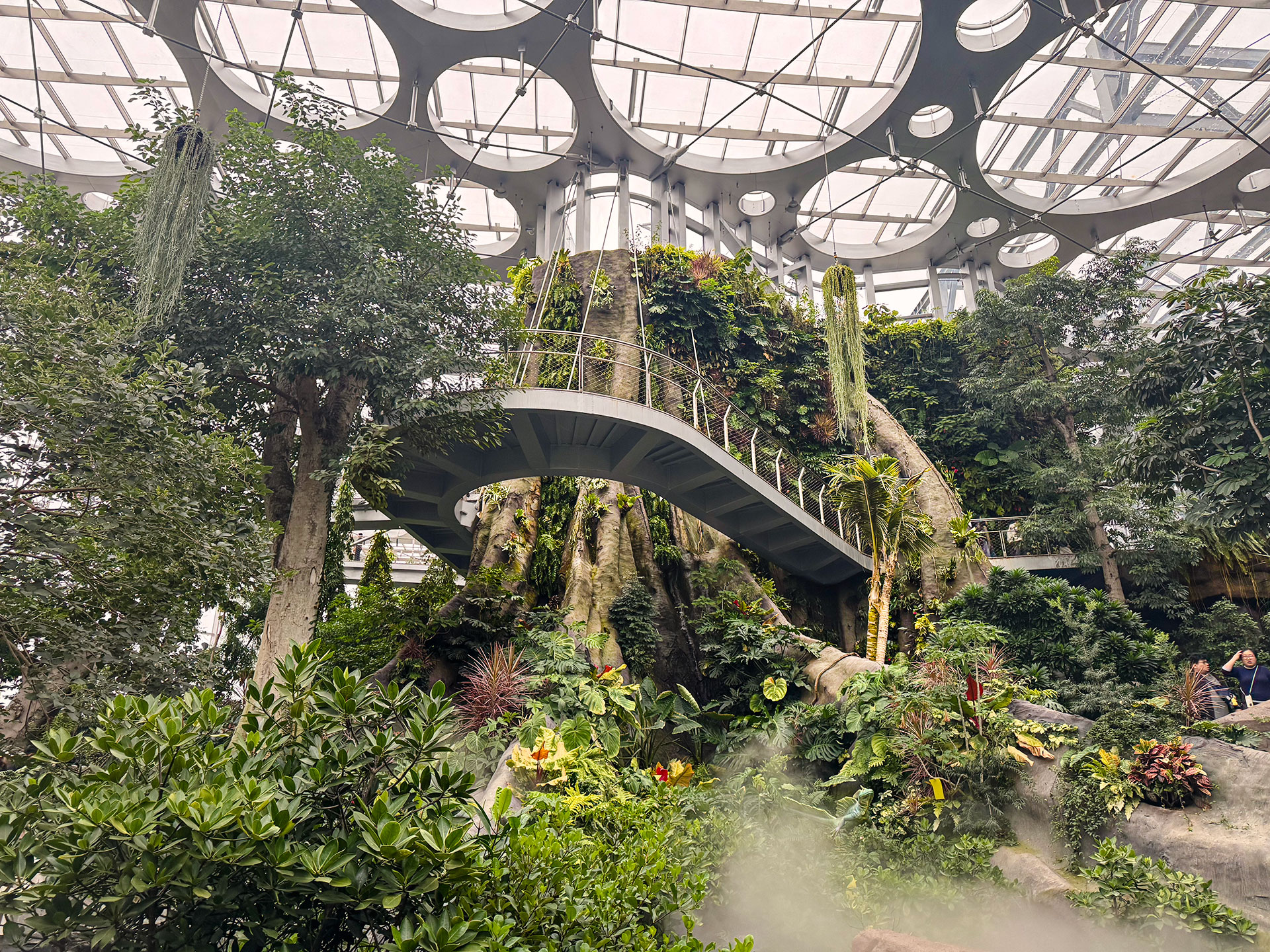 24_sh_greenhouse_garden