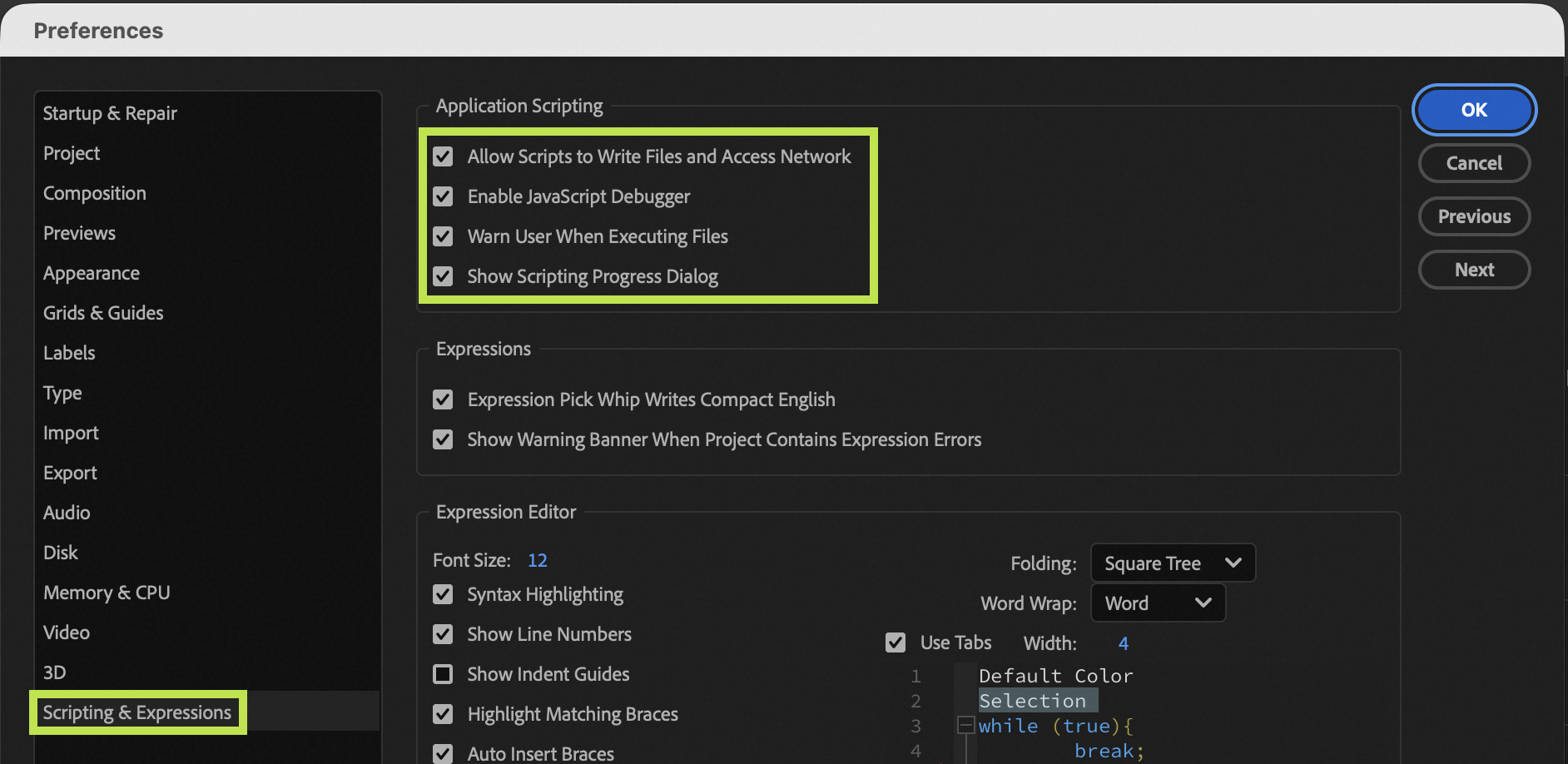 ae scripting settings
