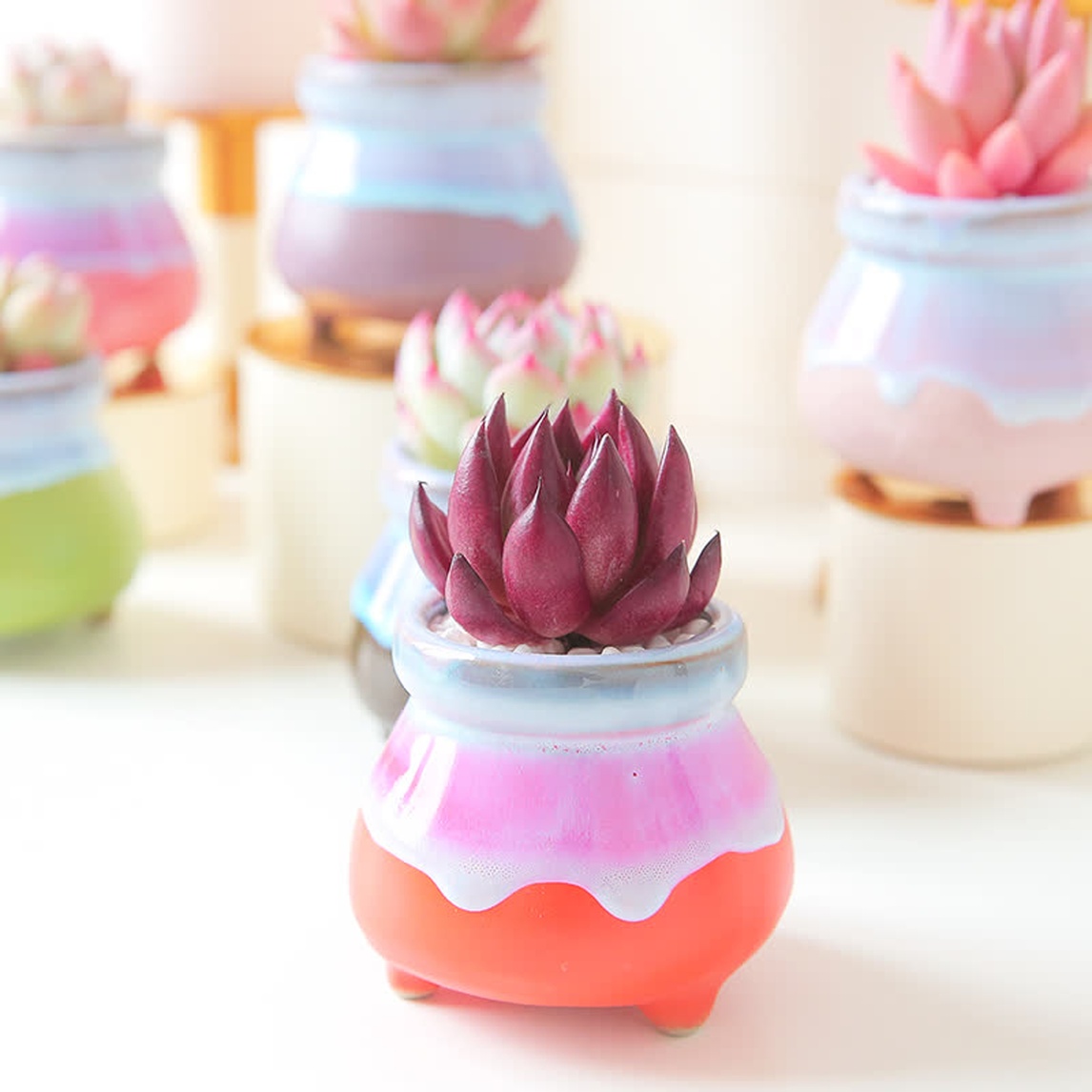 日式风花盆,清新又美观